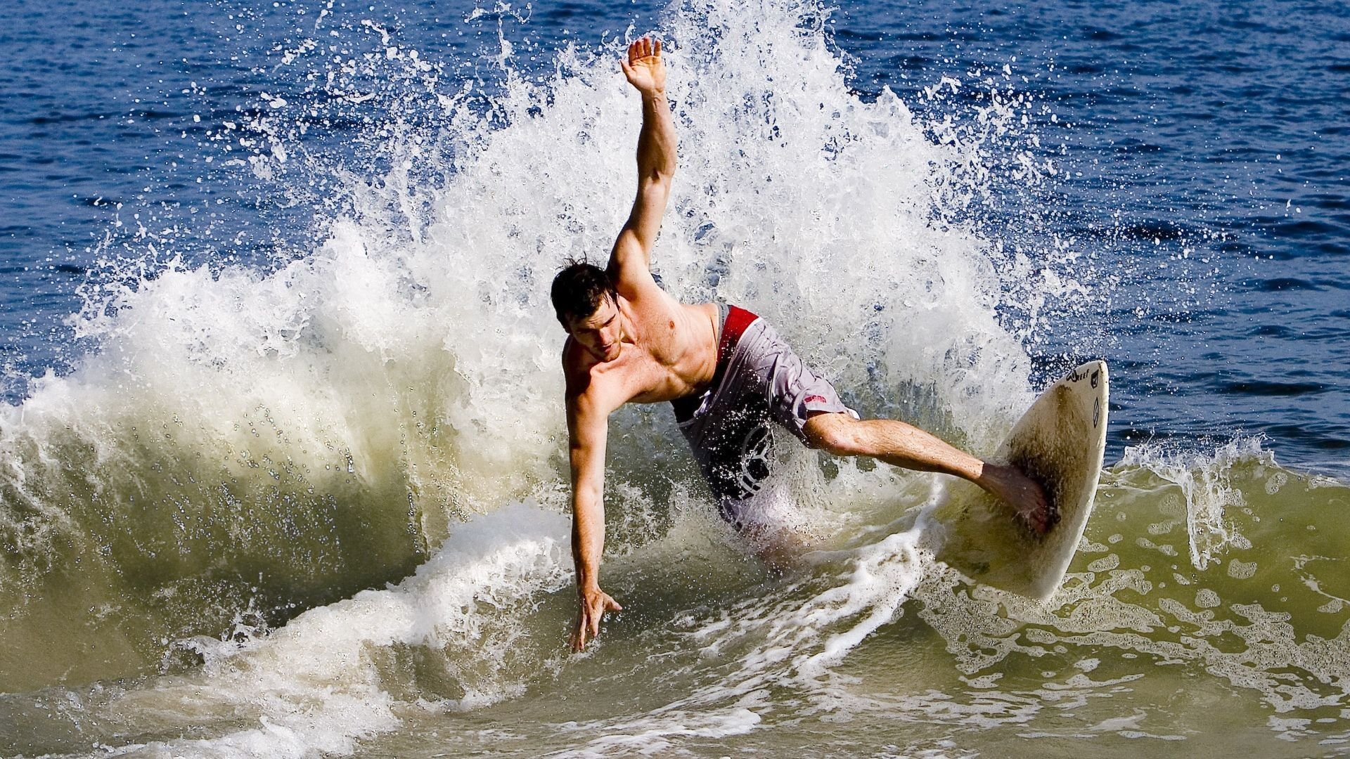 绿色行动：联盟持续推进环保行动，守护地球未来，绿色行动包括什么