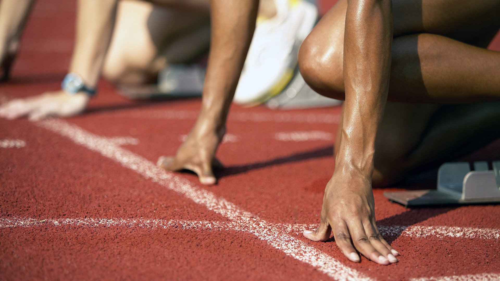 行业“裁判+教练+裁判员”三位一体培训体系加快落实，裁判员培养体系